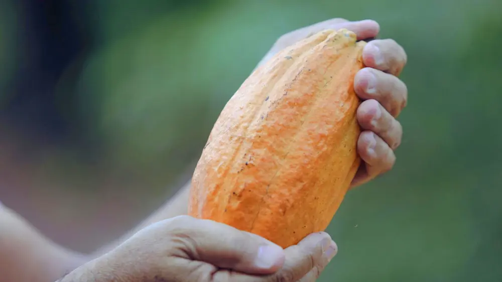CasaInspira Mazunte vista a la playa desde habitacion prinicpal