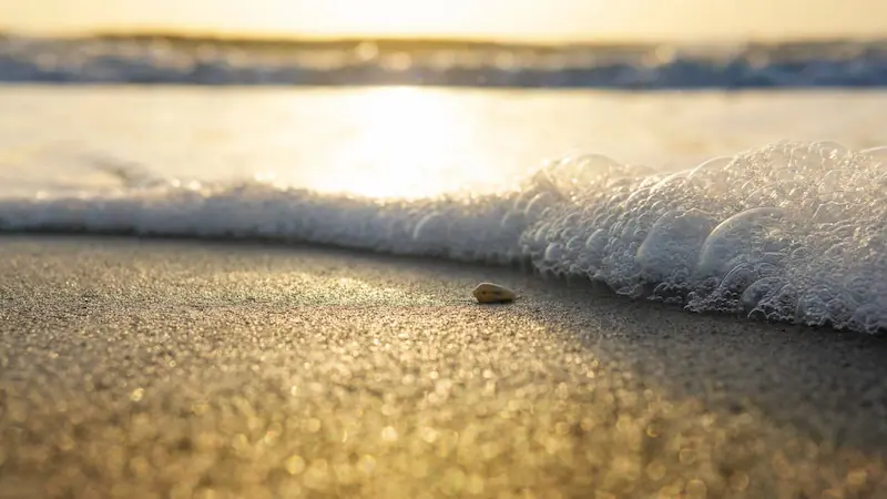CasaInspira Mazunte vista a la playa desde habitacion prinicpal