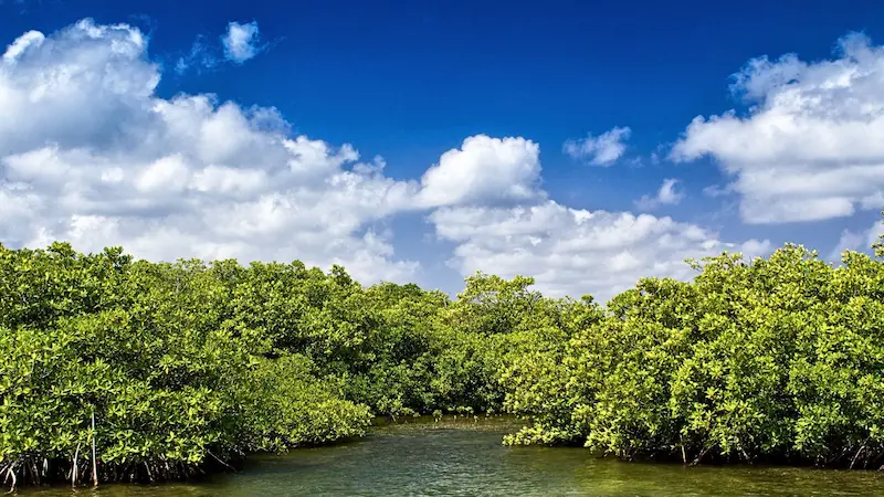CasaInspira Mazunte vista a la playa desde habitacion prinicpal